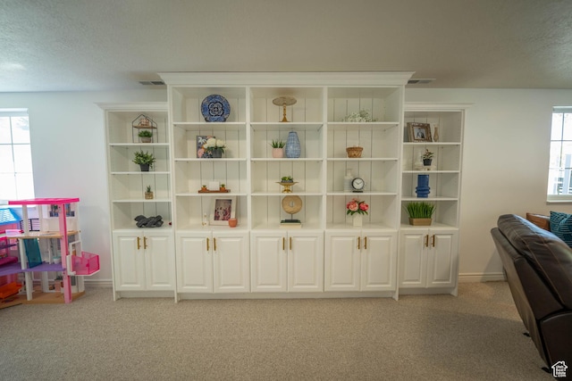 1536 E Mountain Rd, Logan, UT 84321 - detailed view of carpet flooring and baseboards