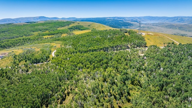 17901 S Snowbird Dr Unit 43, Spanish Fork, UT 84660