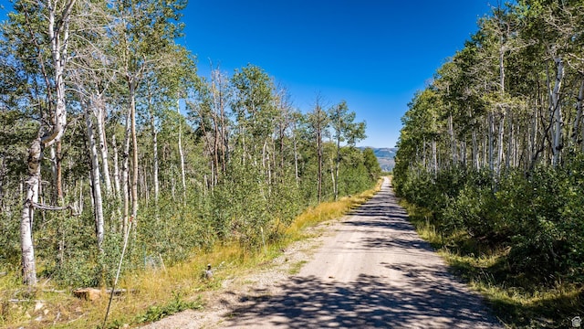 17901 S Snowbird Dr Unit 43, Spanish Fork, UT 84660