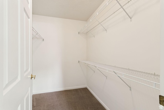 9362 S Abbey View Rd W, West Jordan, UT 84088 - spacious closet with carpet flooring