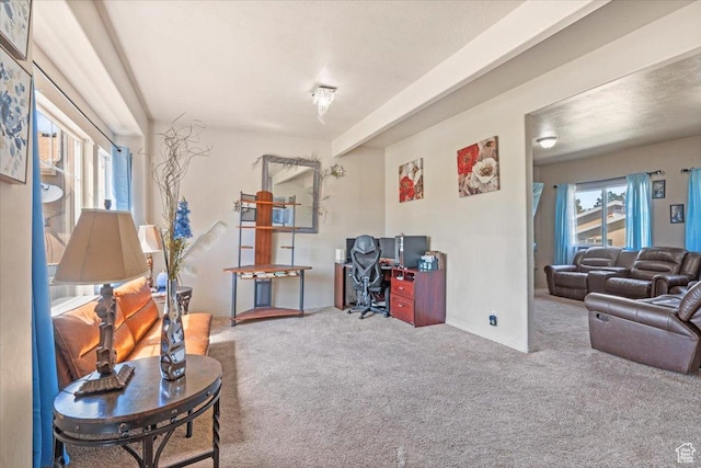6731 S Ticklegrass Rd W, West Jordan, UT 84081 - home office with carpet, plenty of natural light, and baseboards