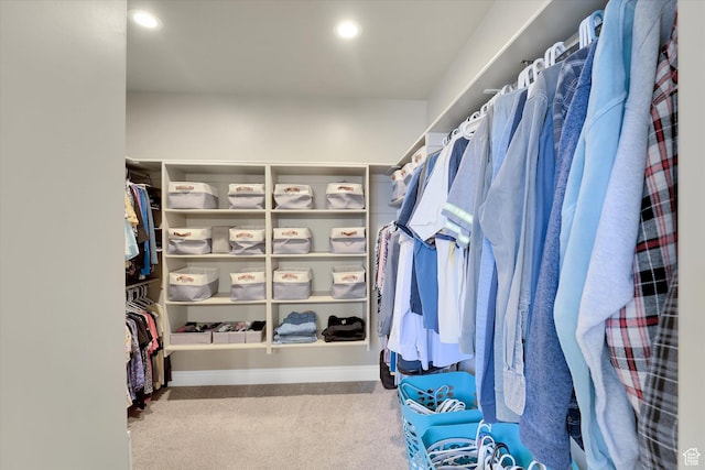 2658 S 1060 W, Nibley, UT 84321 - view of spacious closet