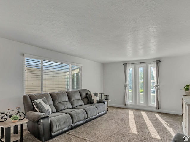 953 E 100 S, Layton, UT 84041 - living area featuring plenty of natural light, a textured ceiling, and light colored carpet