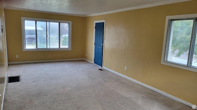 902 W 500 N, Provo, UT 84601 - spare room featuring healthy amount of natural light, baseboards, carpet flooring, and ornamental molding