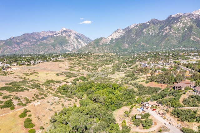 10685 S Dielsdorf Rd E, Sandy, UT 84092 - mountain view