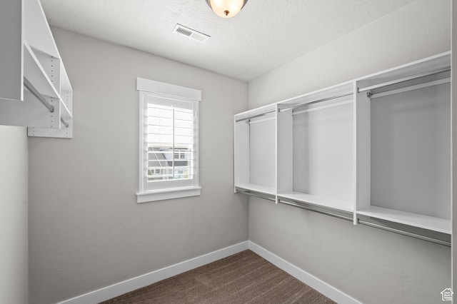 10685 S Dielsdorf Rd E, Sandy, UT 84092 - walk in closet with dark colored carpet
