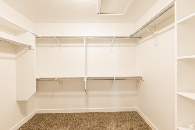 520 S Orchard Dr Unit 17, Bountiful, UT 84010 - spacious closet featuring carpet