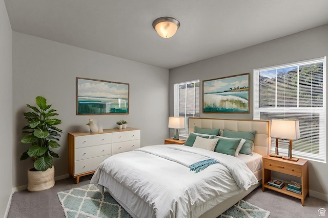 4957 N Marble Fox Way E Unit 118, Lehi, UT 84043 - bedroom with light carpet and baseboards