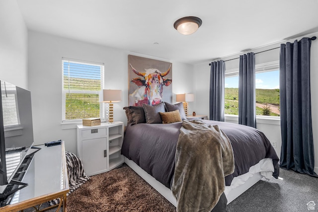 359 Parkview Rd, Coalville, UT 84017 - bedroom with dark carpet