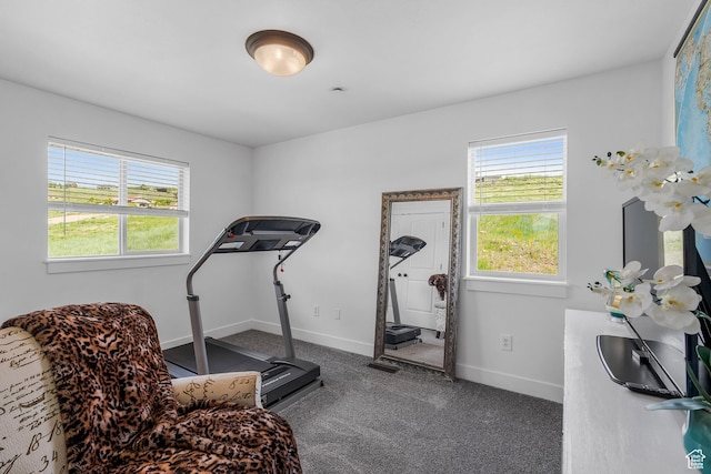359 Parkview Rd, Coalville, UT 84017 - workout area featuring plenty of natural light, carpet flooring, and baseboards