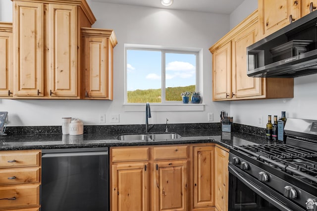 359 Parkview Rd, Coalville, UT 84017 - kitchen featuring appliances with stainless steel finishes, a sink, dark stone countertops, and light brown cabinets