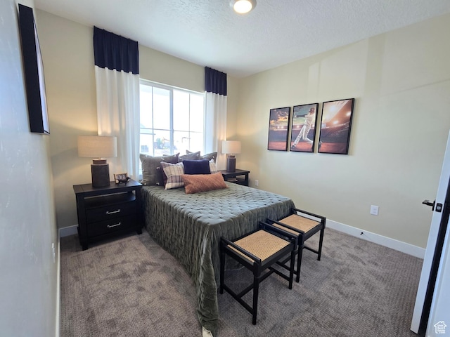 4286 W 1600 S Unit 301, Ogden, UT 84404 - carpeted bedroom with a textured ceiling and baseboards