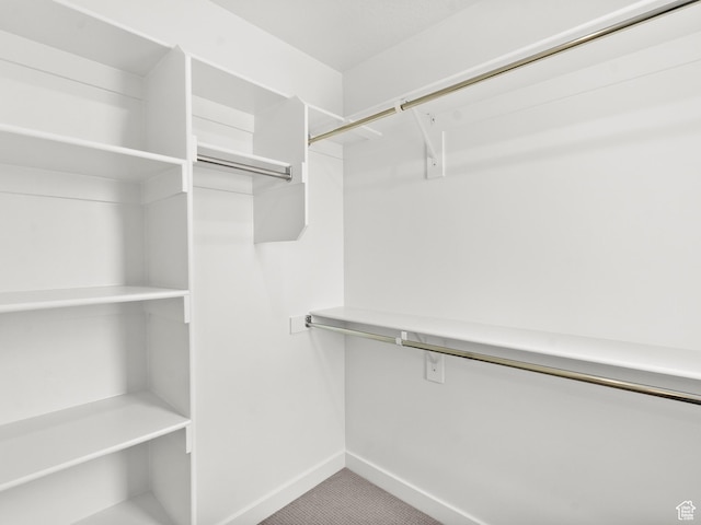 1597 N Cozy Ln Unit 14, Saratoga Springs, UT 84045 - view of spacious closet