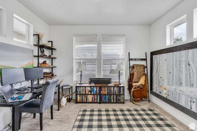 873 S Sunflower Ln W, Mapleton, UT 84664 - view of carpeted home office