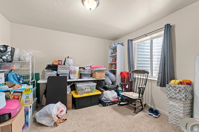 383 N 835 E, Lindon, UT 84042 - view of storage room