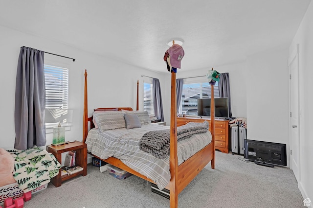 1230 W 1820 S, Logan, UT 84321 - bedroom featuring carpet floors