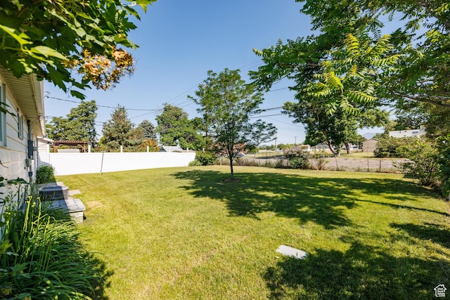 1814 W 80 S, Provo, UT 84601 - view of yard