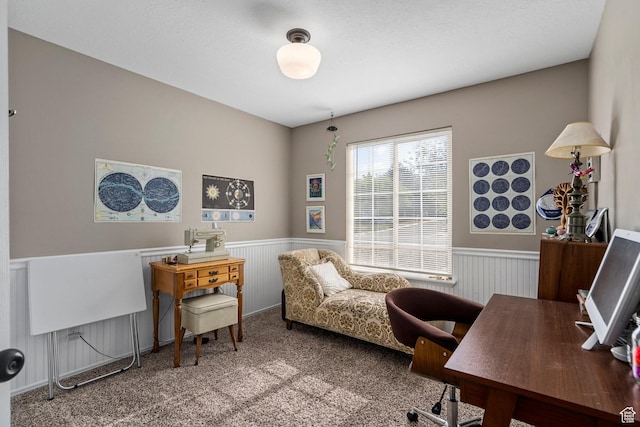 116 S Canyon View Dr, Elk Ridge, UT 84651 - office space with a wainscoted wall and carpet floors