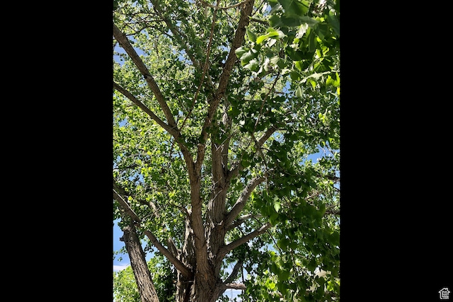 116 S Canyon View Dr, Elk Ridge, UT 84651 - exterior view