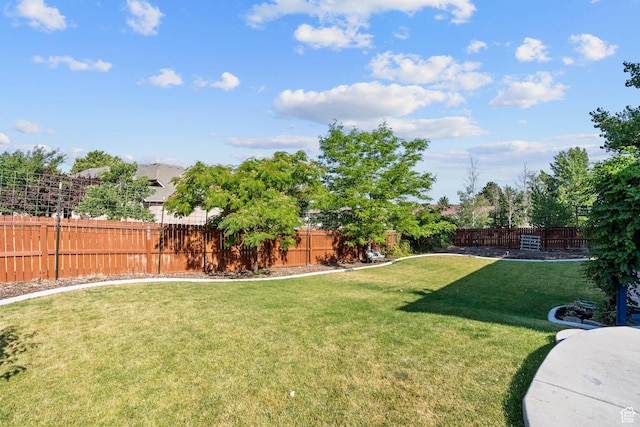 116 S Canyon View Dr, Elk Ridge, UT 84651 - view of yard