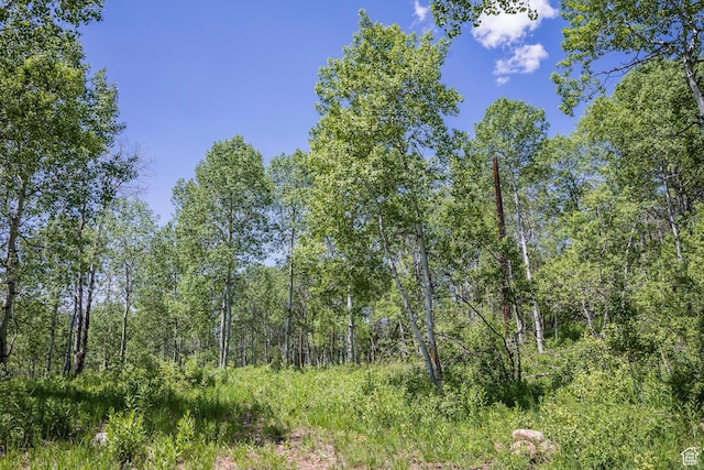 5426 E Colter Unit 33, Oakley, UT 84055