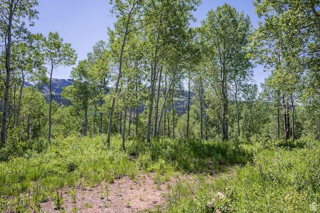 5426 E Colter Unit 33, Oakley, UT 84055