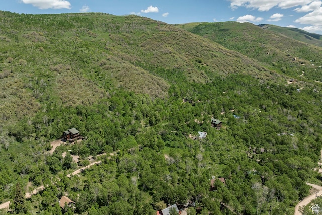 5426 E Colter Unit 33, Oakley, UT 84055