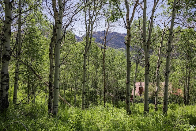 5426 E Colter Unit 33, Oakley, UT 84055