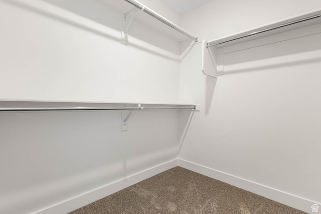 606 W Caroles Way, Tooele, UT 84074 - walk in closet with dark carpet