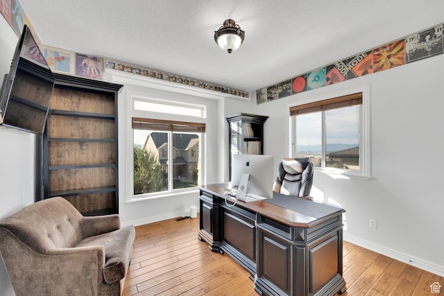 14789 S Briar Park Rd W, Herriman, UT 84096 - home office with baseboards, light wood-style floors, and healthy amount of natural light