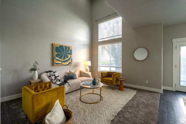 14508 S Juniper Shade Dr W, Herriman, UT 84096 - living room featuring healthy amount of natural light, baseboards, a towering ceiling, and wood finished floors
