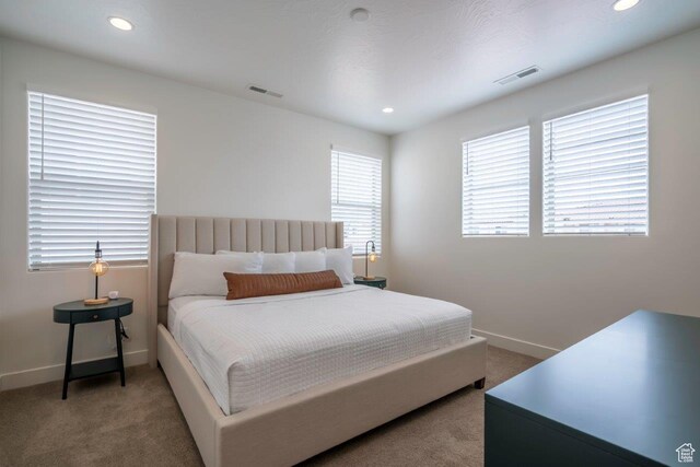 3780 Arcadia Dr Unit 53, Santa Clara, UT 84765 - bedroom with carpet, baseboards, and recessed lighting