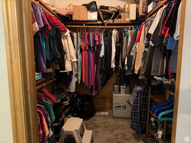 1777 W Palmyra Dr, Palmyra, UT 84660 - spacious closet featuring carpet