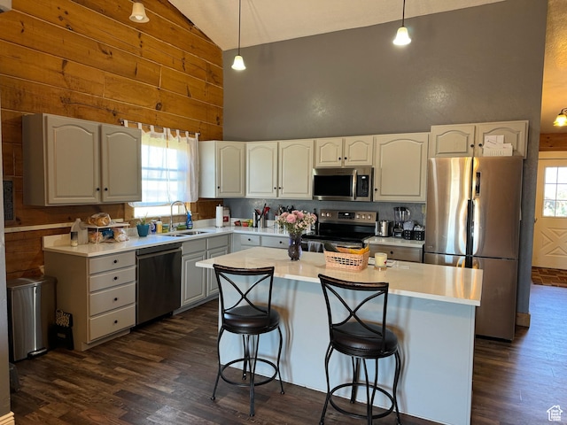 1777 W Palmyra Dr, Palmyra, UT 84660 - kitchen featuring stainless steel appliances, high vaulted ceiling, a sink, dark wood-style floors, and plenty of natural light