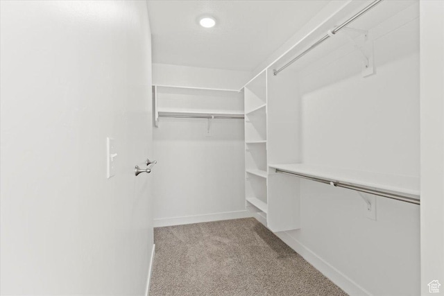12361 S Xander Ln, Herriman, UT 84096 - walk in closet featuring carpet floors