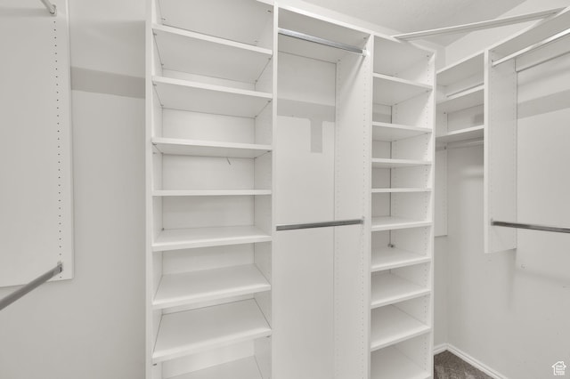 524 E 1200 S, Kaysville, UT 84037 - view of walk in closet