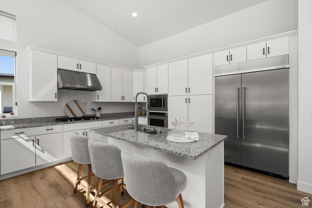 5472 N Valley View Rd W, Lehi, UT 84043 - kitchen featuring built in appliances, under cabinet range hood, high vaulted ceiling, a sink, and light wood-style flooring