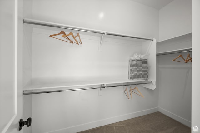 5472 N Valley View Rd W, Lehi, UT 84043 - spacious closet with carpet floors
