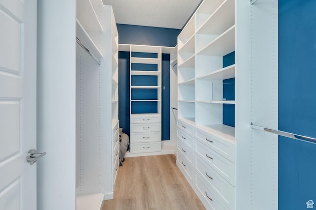 10764 S Felicity Ct, South Jordan, UT 84009 - spacious closet with light wood-style flooring