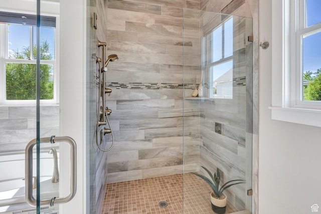 10764 S Felicity Ct, South Jordan, UT 84009 - full bath with a stall shower
