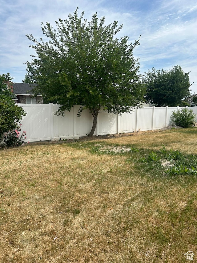 3086 S Fernbush Dr, Magna, UT 84044 - view of yard