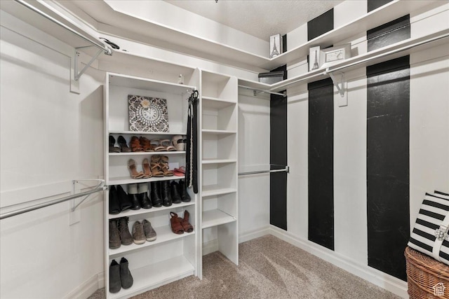 521 W Western Dr S, Kaysville, UT 84037 - spacious closet featuring carpet