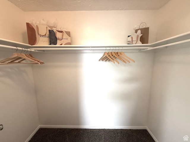 206 E Handcart Way, Sandy, UT 84070 - walk in closet featuring carpet