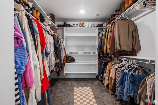 1477 S 3750 E, Spanish Fork, UT 84660 - spacious closet with carpet floors