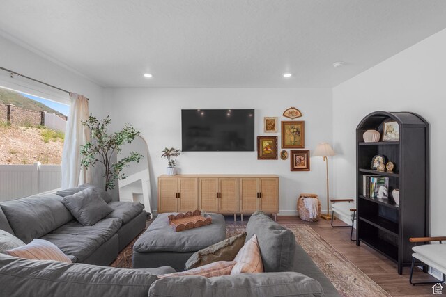 1477 S 3750 E, Spanish Fork, UT 84660 - living area with wood finished floors and recessed lighting