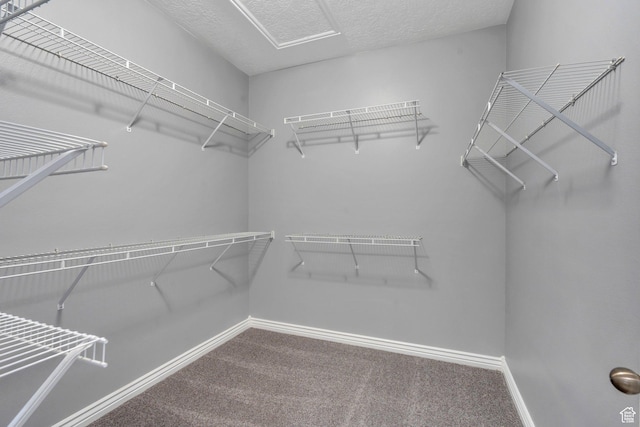 1292 W Dallin Dr N, Pleasant Grove, UT 84062 - walk in closet with carpet