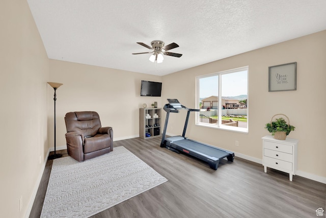 4234 W Swensen Farm Dr S, Riverton, UT 84096 - exercise area featuring wood finished floors, a ceiling fan, baseboards, and a textured ceiling