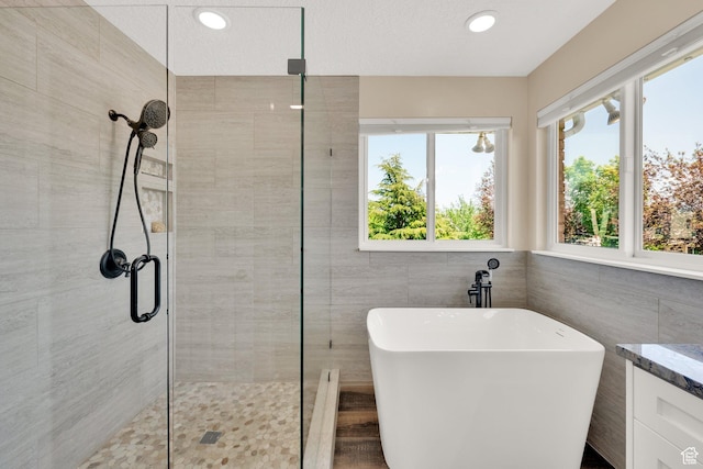 4234 W Swensen Farm Dr S, Riverton, UT 84096 - full bath featuring a shower stall, a freestanding bath, tile walls, vanity, and recessed lighting