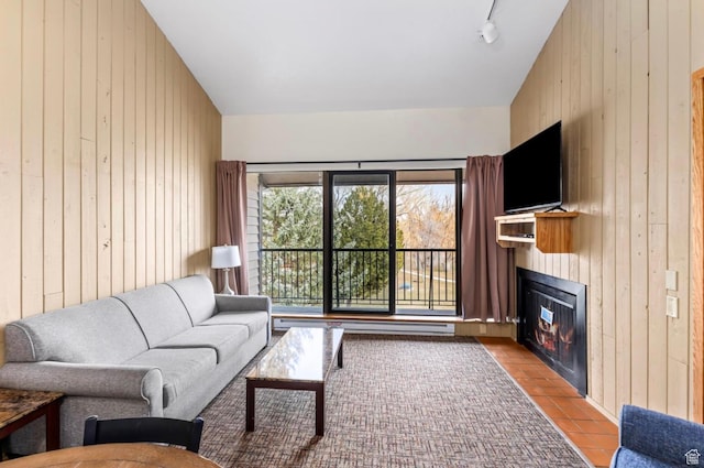 2176 S Bear Blvd Unit 404, Garden City, UT 84028 - living area featuring wood walls, a glass covered fireplace, and a baseboard heating unit