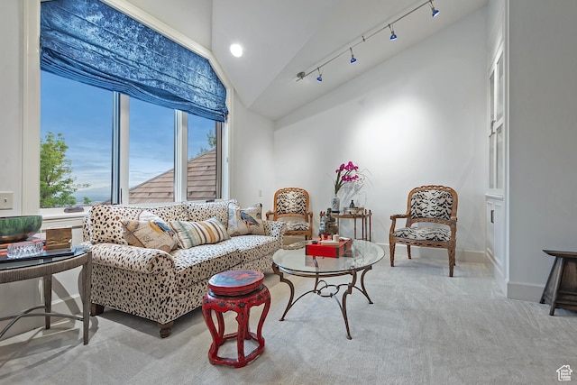 1358 E Tomahawk Dr N, Salt Lake City, UT 84103 - living area with lofted ceiling, plenty of natural light, carpet flooring, and rail lighting